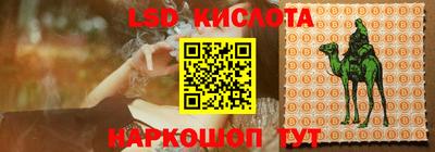 гашик Кинель