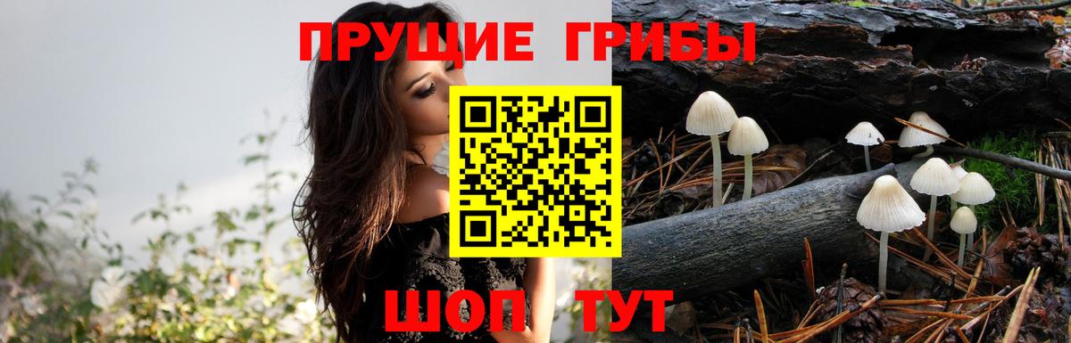 Псилоцибиновые грибы Magic Shrooms  Галлюциногенные грибы Psilocybine cubensis  Вход с VPN  Новомосковск 